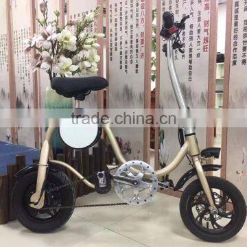 2017 New Arrival Electric Folding Bike, Unique Design High Quality 36V 250W Folding Electric Bicycle For Wholesale photo-5