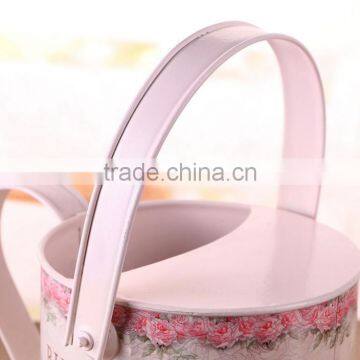 Cheap Metal Watering Can Watering Can Nozzle, Watering Can Spray for Indoor&Garden Decor photo-3