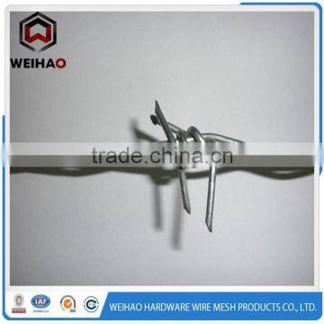 Heavy Duty Sharp Barbed Wire photo-4