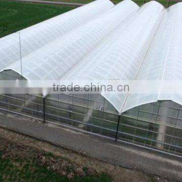 Economical Plastic Film Greenhouse Tunnel for Sale