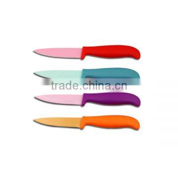 Best Quality Stainless Steel Fruit Paring Knife photo-5