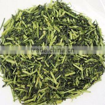 Japanese Green Tea Powder Produced Grown in Fukuoka Japan, Yame-cha photo-6