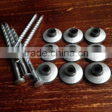 Galvanized Roof Screw Nail With Plastic Cap photo-2