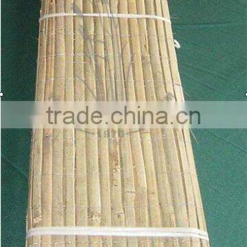 Bamboo Fence photo-2