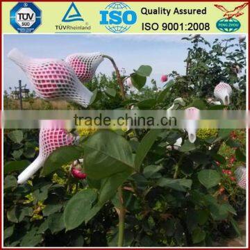 White Pe Packing Flower Bud Netting