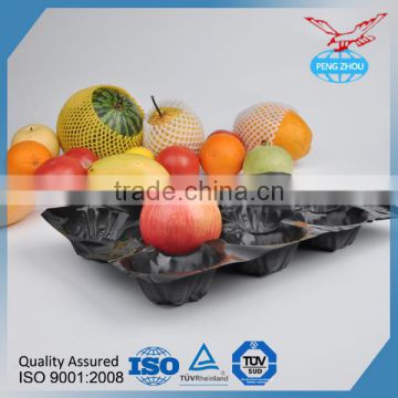 Plastic Insert Tray fruit packing Disposable Divided PP Tray