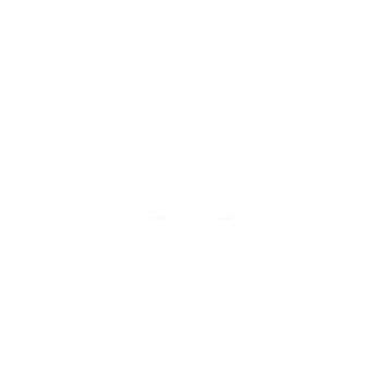fongwin international co.,ltd