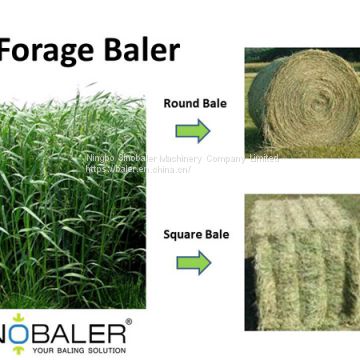 Forage Baler in Forage Recycling