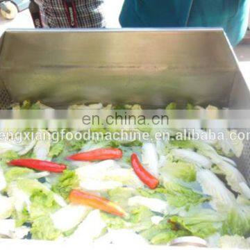 FXP-70 Washer Vegetable Lettuce Cabbage Pepper Cleaning Machine Vegetable And Fruit Washing Cleaning Machine photo-4