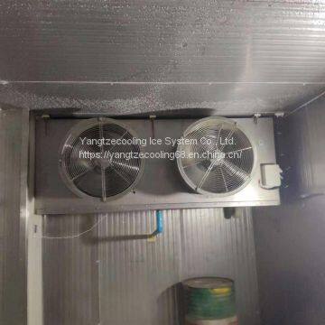 Blast Durian Cold Storage