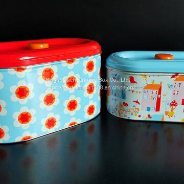 colored storage Cake Tin Oval Cake Tin Sponge & Foam Insert