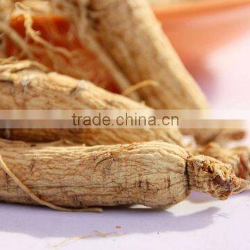 White ginseng, jilin ginseng, hot sell ginseng