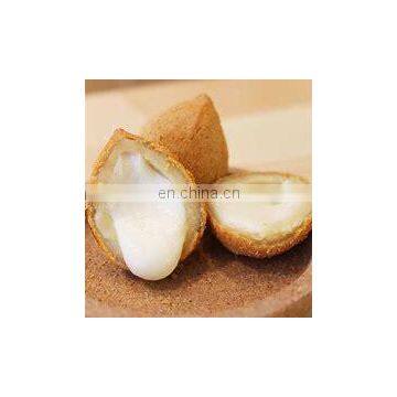 Kubba Falafel Arancini Coxinha Food Encrusting Machine For Sale photo-3