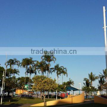 MCLED 2-5m Elegant White Beach LED Yard Lights photo-5