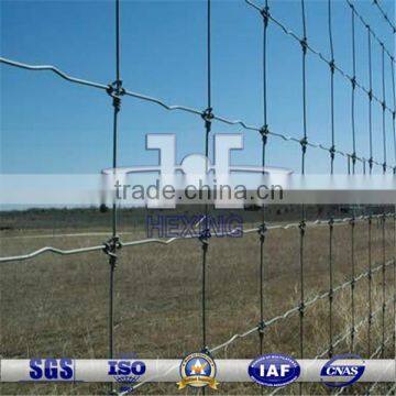 Galvanized Grassland Fence/Field Wire Mesh Fence