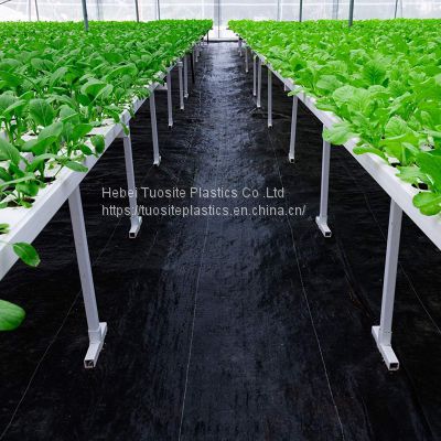 Agro chemicals for Weed Control in Cassava Farm PP Anti Grass Cloth Anti Weed Mat with UV Protection