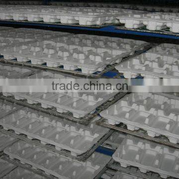 Eco-friendly Molded Pulp Plant Fiber Egg Trays photo-4