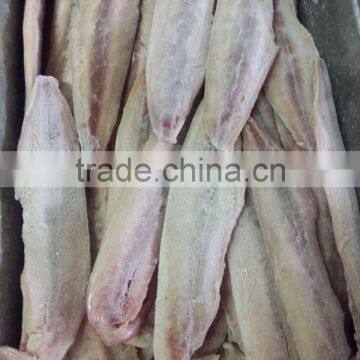 Frozen mahi-mahi fillets PBI
