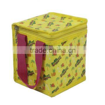 Colorful Fashion Insulated Bag Portable Keep warm Cooler Bag