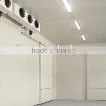 Cold Room PU Sandwich Panel Freezer Room With Hinge Doors