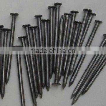 Q195 common round wire nails(producer)