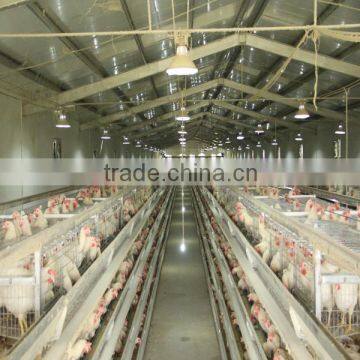 Cheap galvanized design welded customize chicken cage