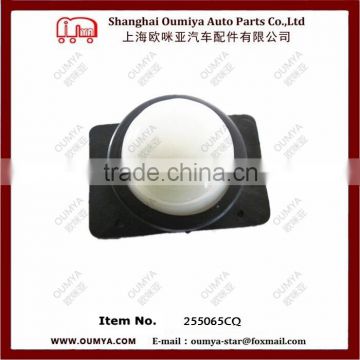 Front clearance lamp 255065CQ