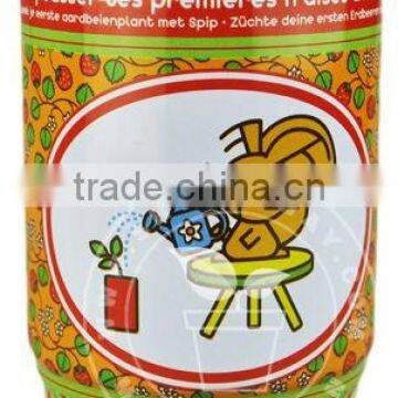 Strawberry,Tin Flower,Flowers in tin cans