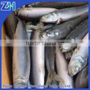 on sale frozen fresh sardines price