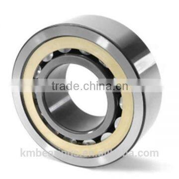 High quality low priceCylindrical Roller Bearing n228