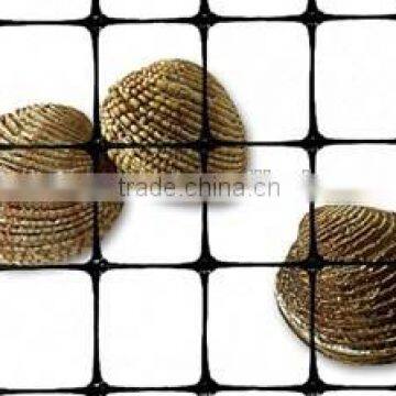 High Density Plastic Flat Netting for Oyster photo-4