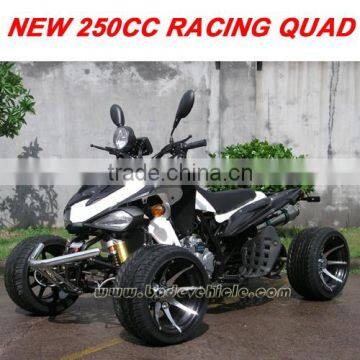 250CC EEC ATV 250CC EEC QUAD 250CC EEC QUAD BIKE