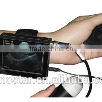 V2 Veterinary Wrist Ultrasound Scan