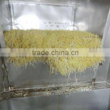 Bean Sprout Growing Machine
