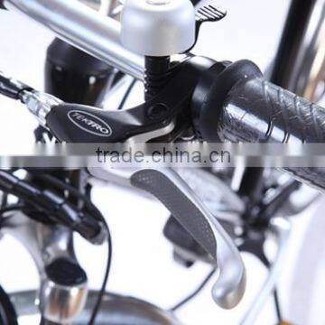 Mtb 29 Inch Electric Bicycle (Model CTB600U)
