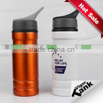 Aluminum Promotional Gift Bottle