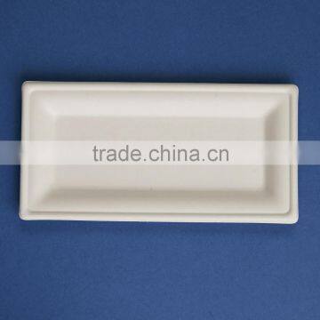 PL-10-05-R 10*5 Inches Sugercane Flate Rectangle Shape Dinner Plates Quality Choice photo-3