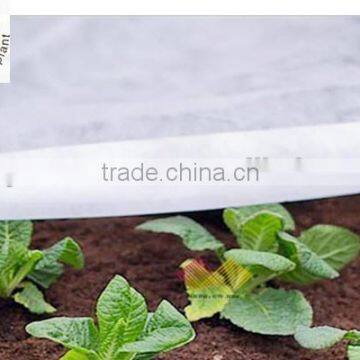 Junyu Agriculture Nonwoven Fabric as a Protection Against Heat Loss in Greenhouses and Garden Tunnels photo-3