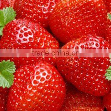 new crop IQF bulk strawberries whole