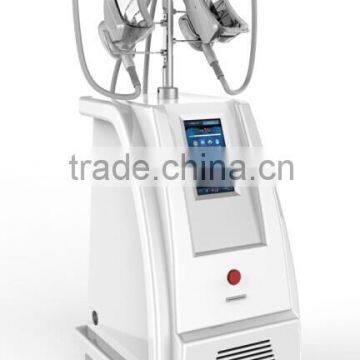 Guangzhou BL HOT SALE Vertical Spa Use Cryolipolysis Fat Freezing Weight Loss Machine for Sale