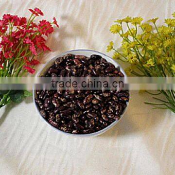 Purple Speckled Kidney Bean photo-4