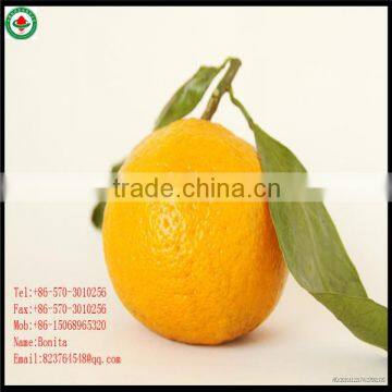 canned mandarin orange