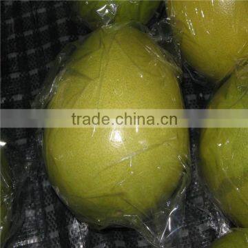 Fresh guangxi pomelo