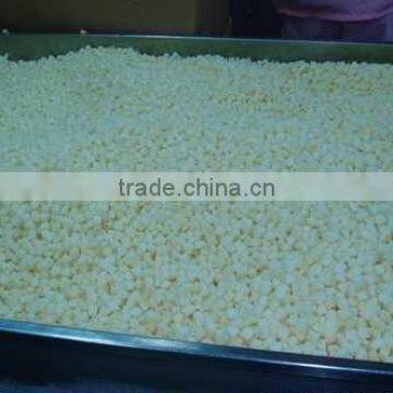 good taste frozen apple dices China supplier