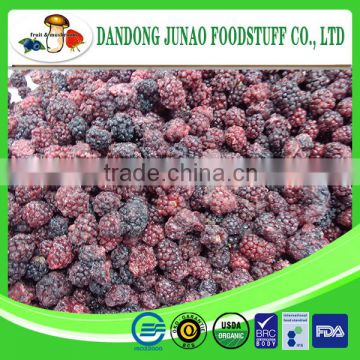 New crop Chinese iqf dried blackberry fruit for juice