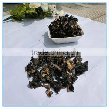 The Cheapest White Back Black Fungus