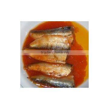 hot sale 125g packing fatty acids rich sardines in tin in tomato sauce