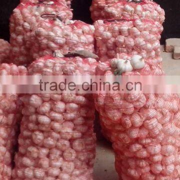 China Fresh Normal White Garlic Can Provide photo-6