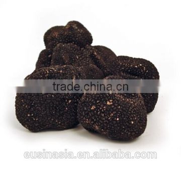 IQF frozen truffle wild truffle wild mushroom