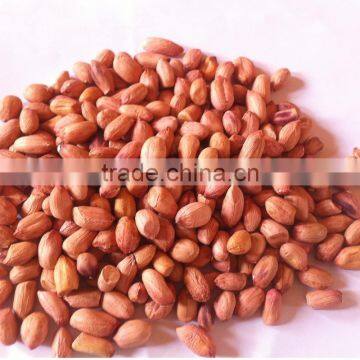 Bold Peanuts 50/60 New Crop 2015